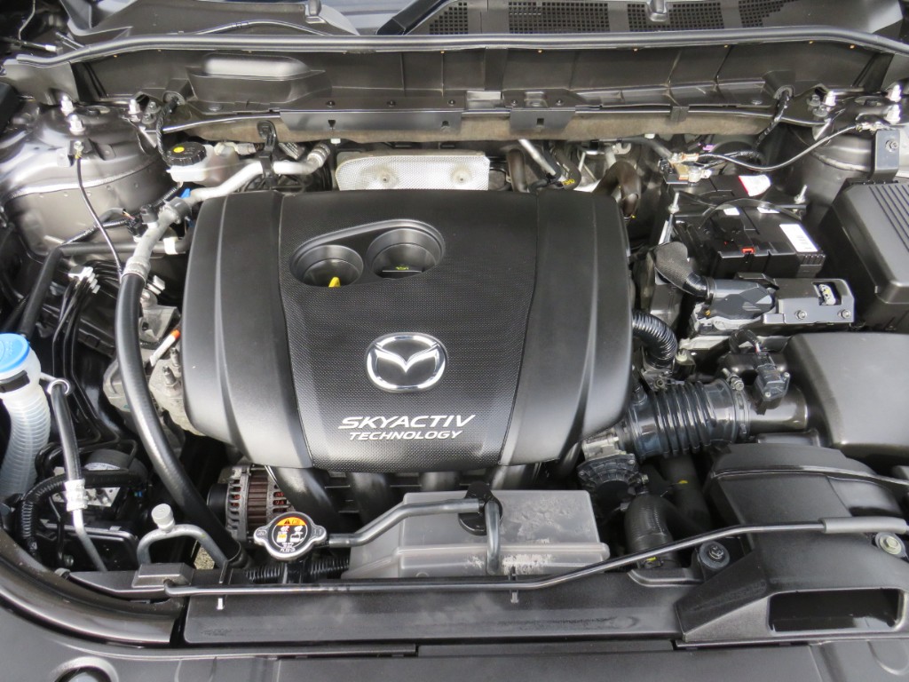 S1858818.jpg