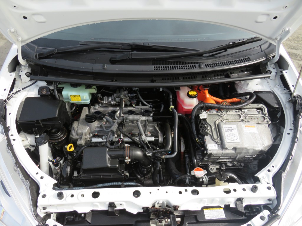 S1877021.jpg