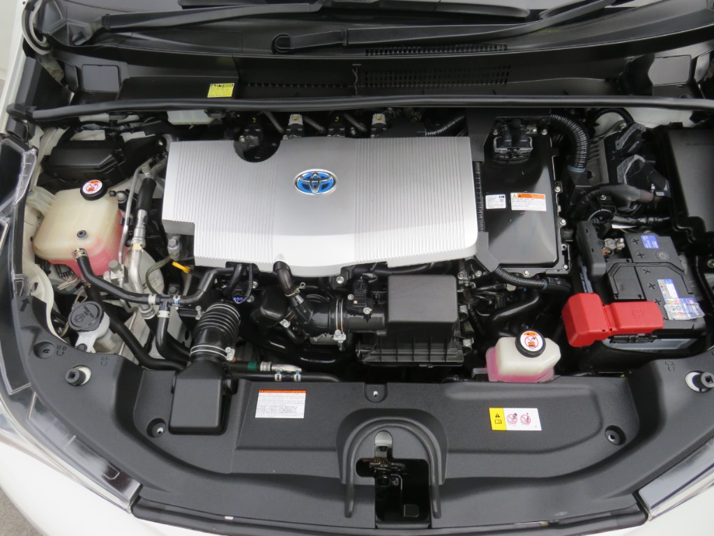 S1929719.jpg