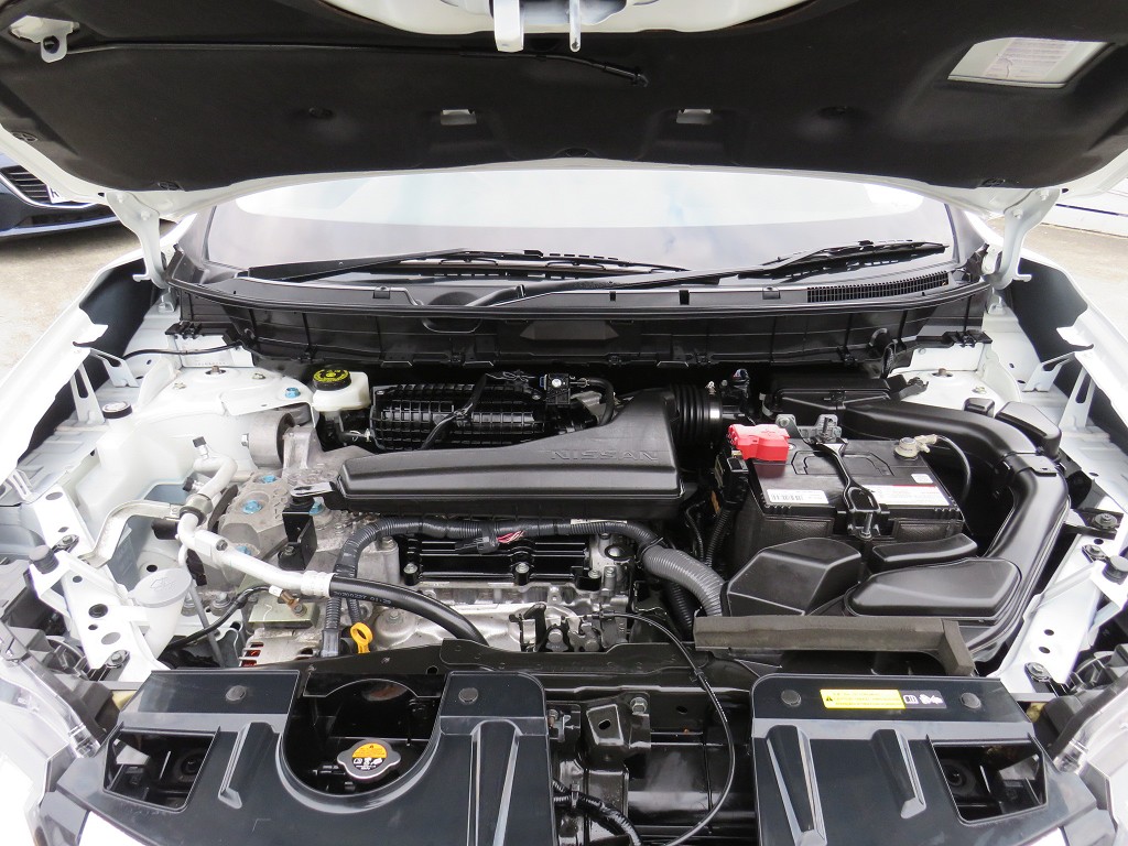 S7073520.jpg