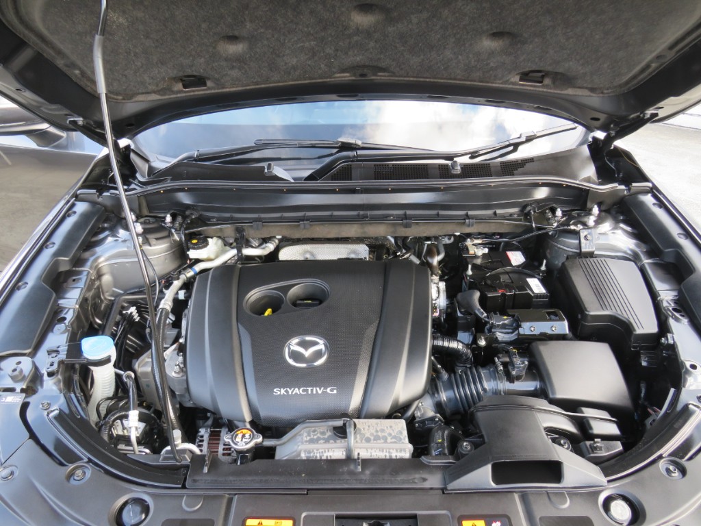 S7074120.jpg