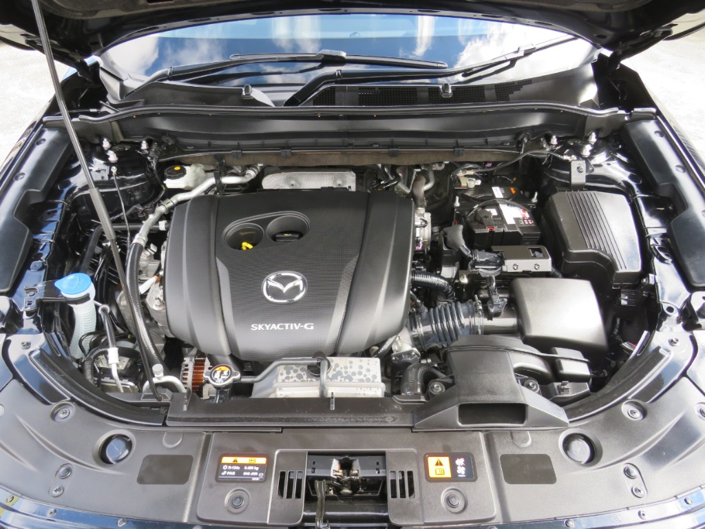 S7075020.jpg