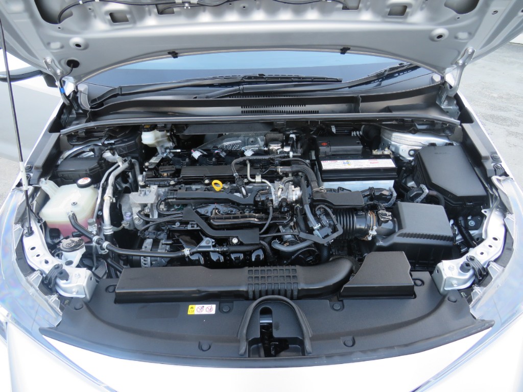 S7078118.jpg