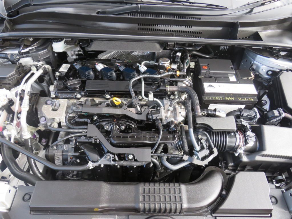 S7078819.jpg
