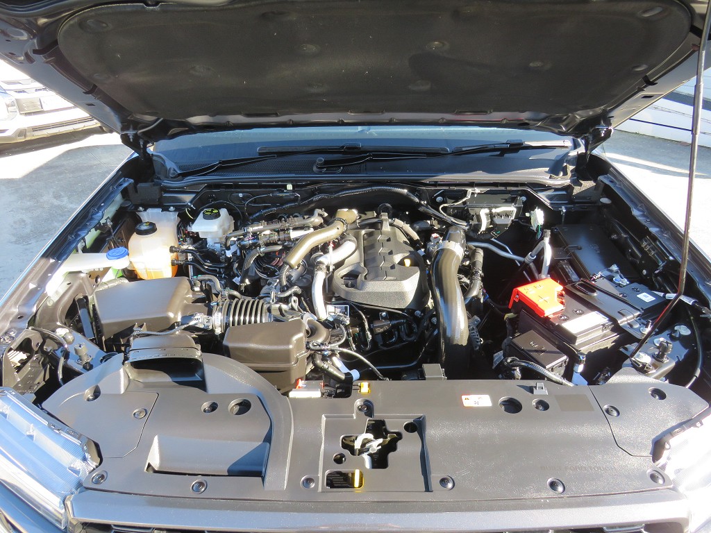 S7083721.jpg