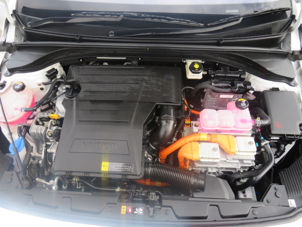 S7103021.jpg