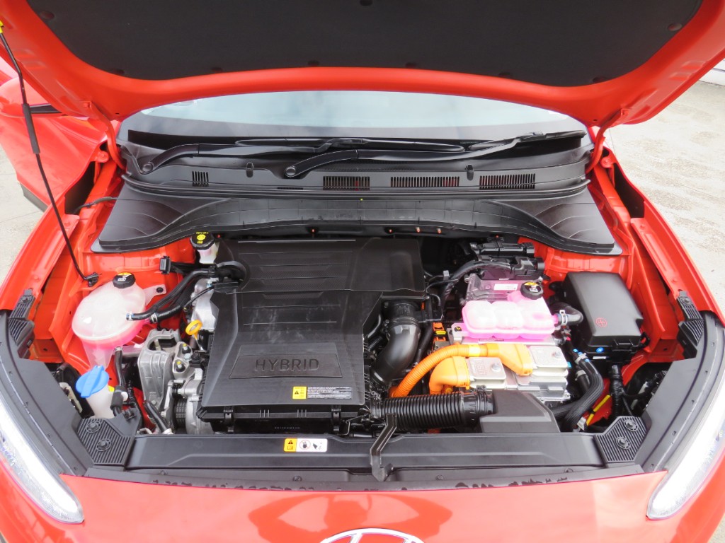 S7104520.jpg
