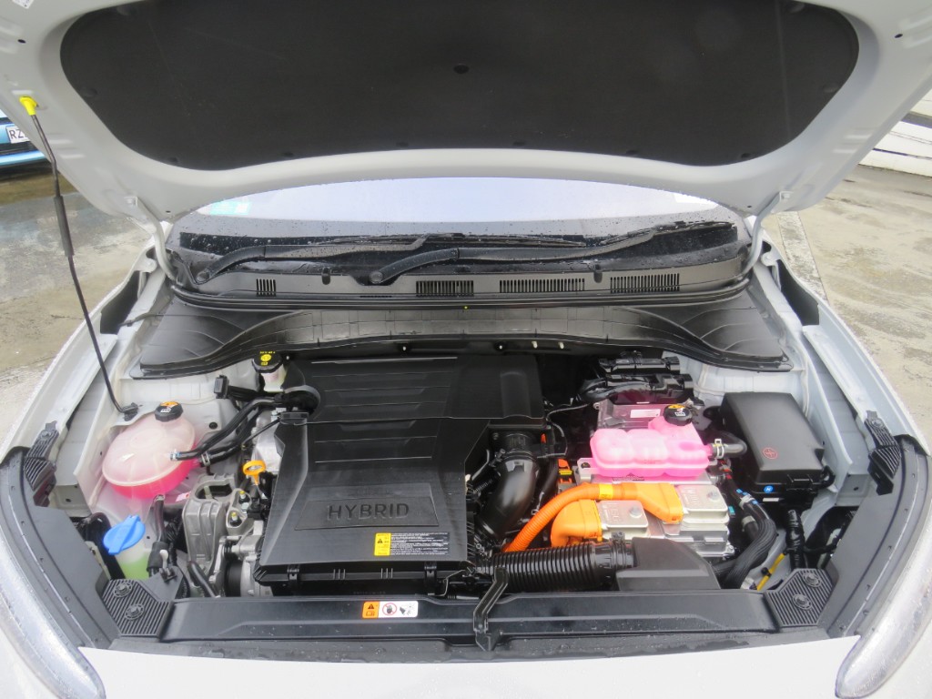 S7104820.jpg