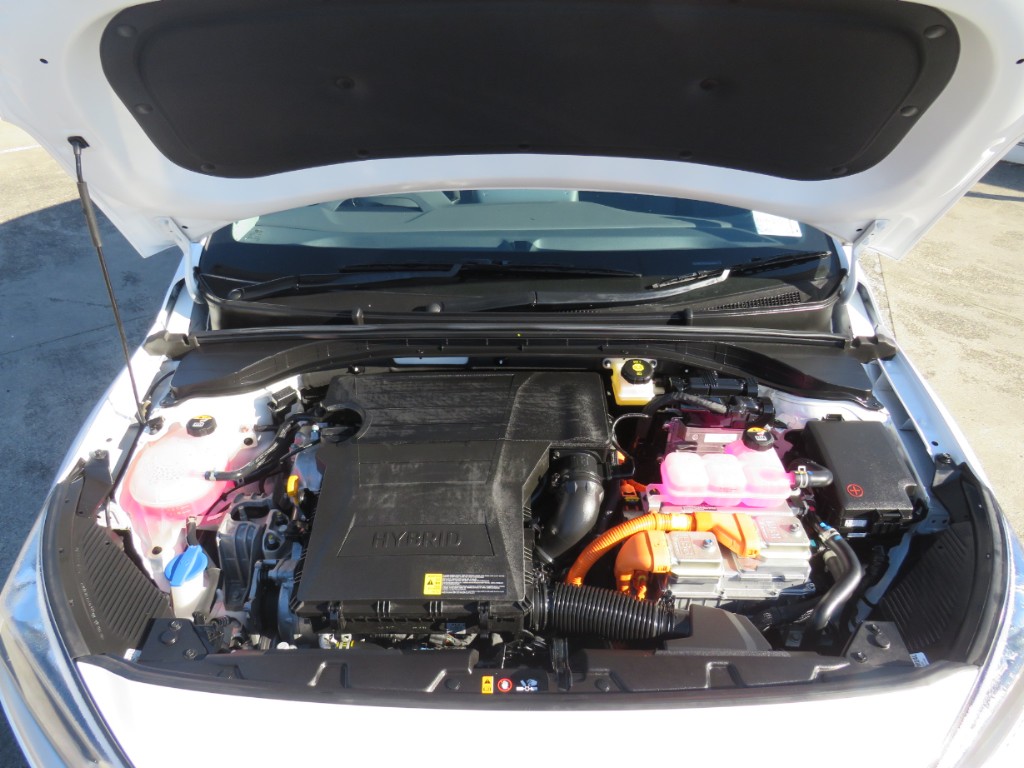 S7105319.jpg