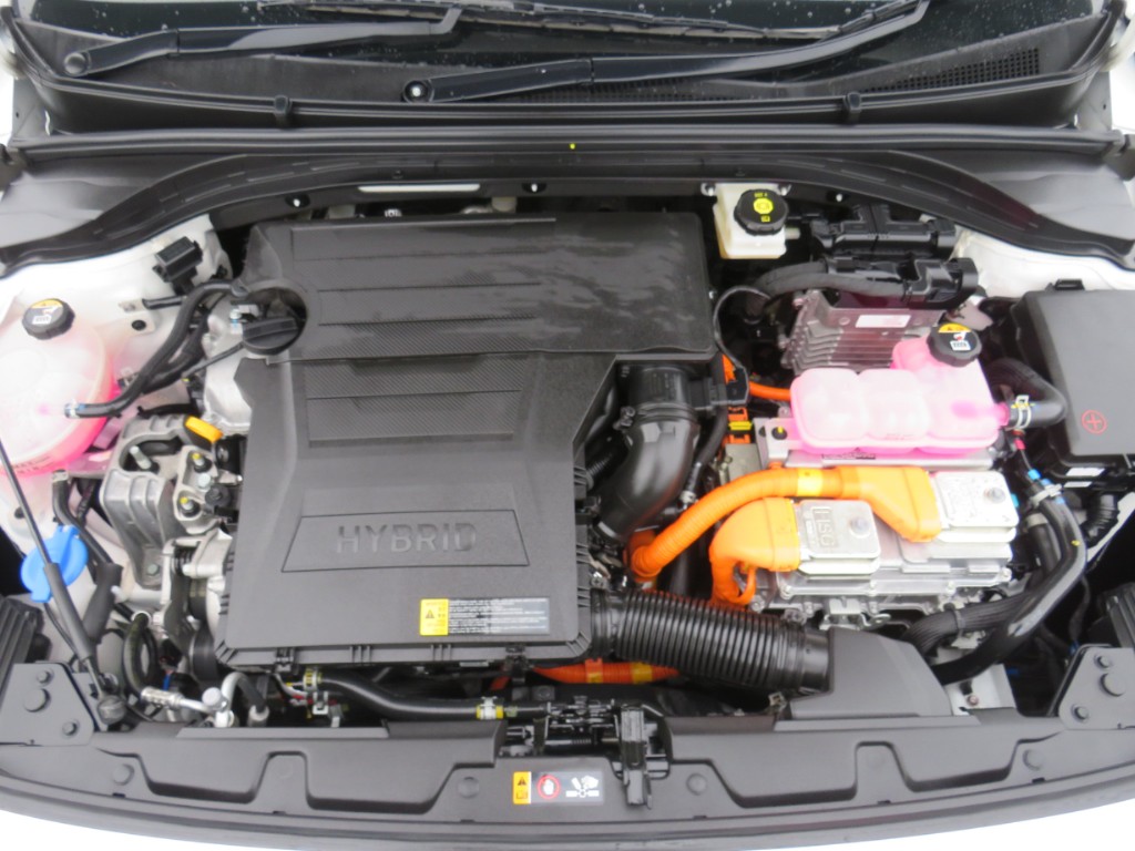 S7106319.jpg