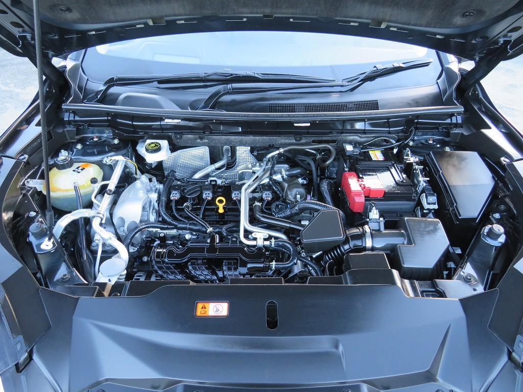 S7108221.jpg