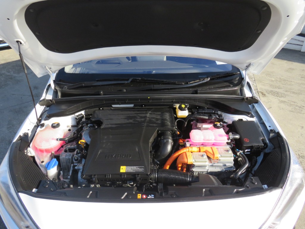 S7109020.jpg