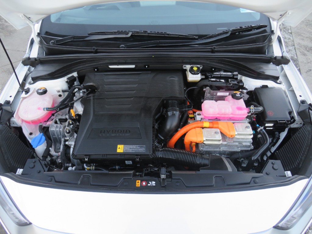 S7109620.jpg