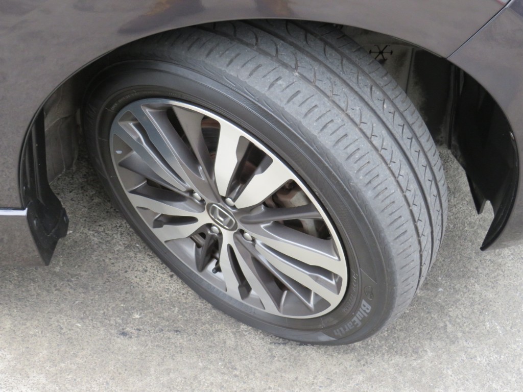 S8009810.jpg