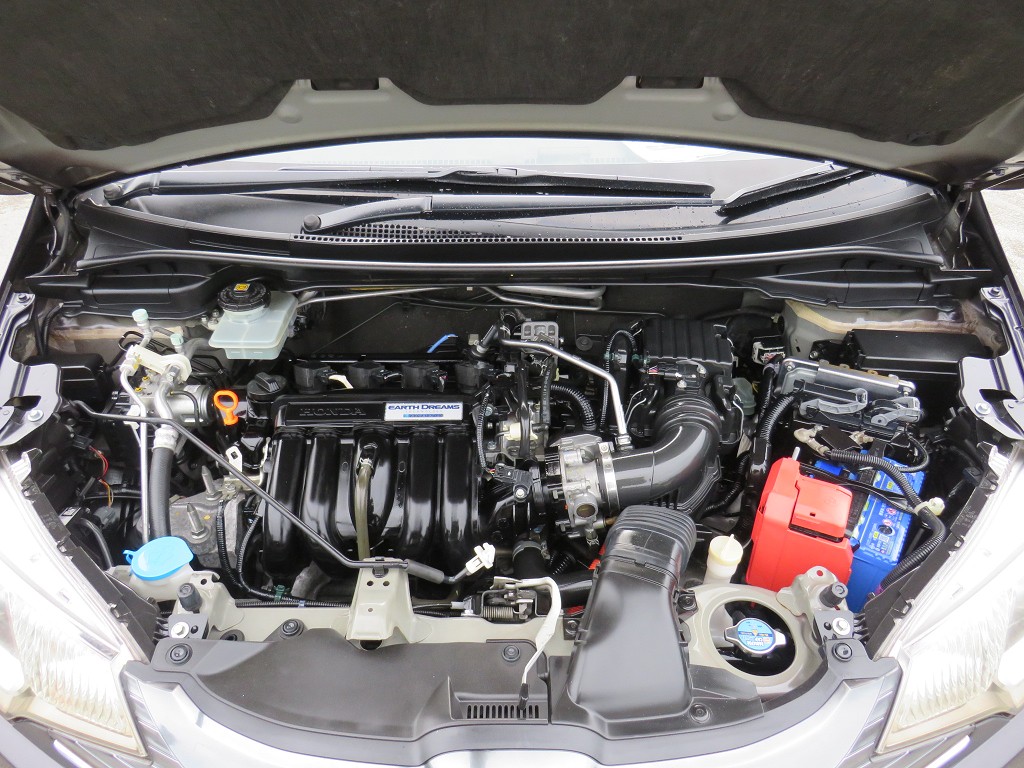S8009821.jpg