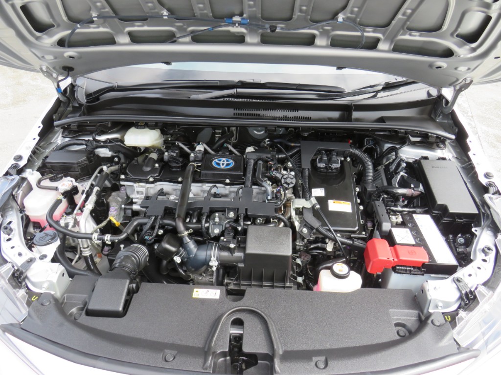 S8011021.jpg