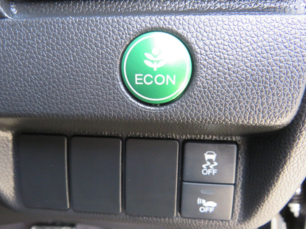 S8012019.jpg