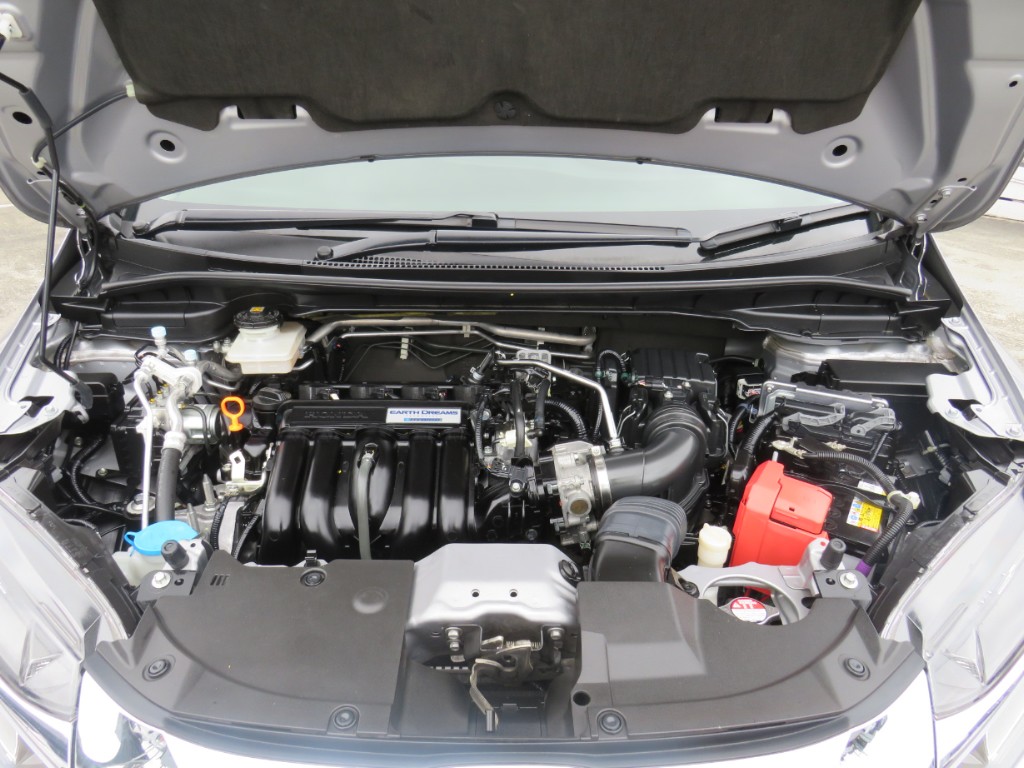 S8013419.jpg