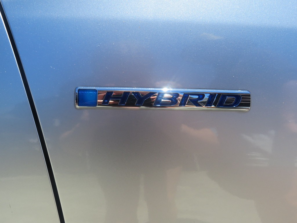 S8015019.jpg