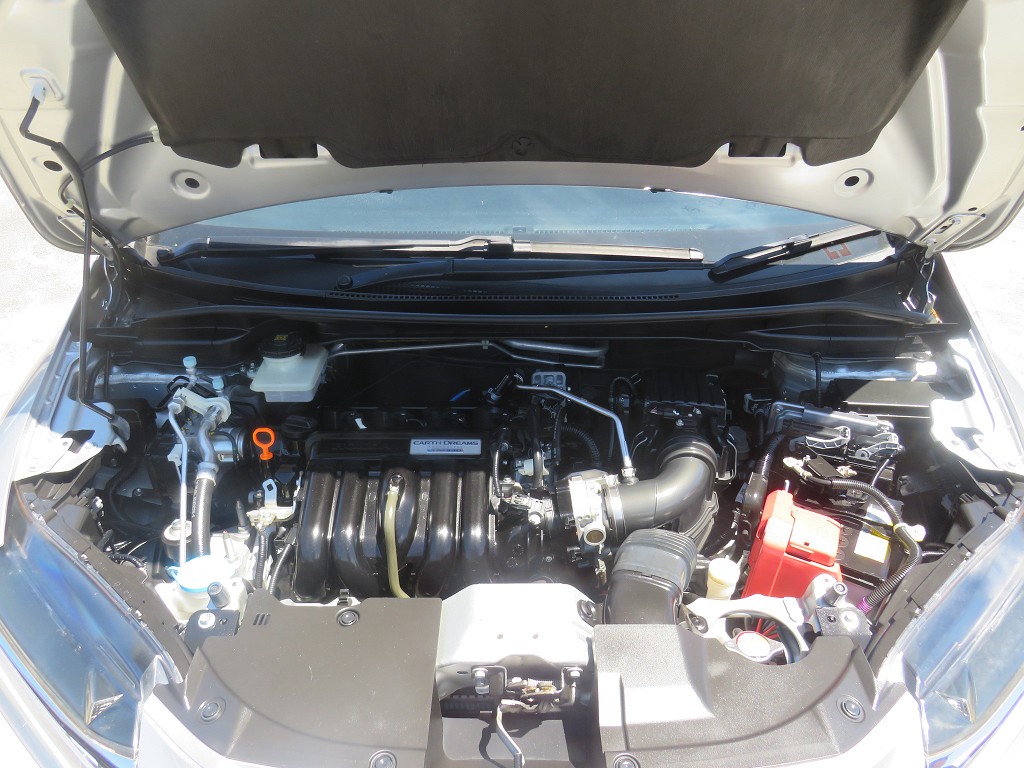 S8015020.jpg