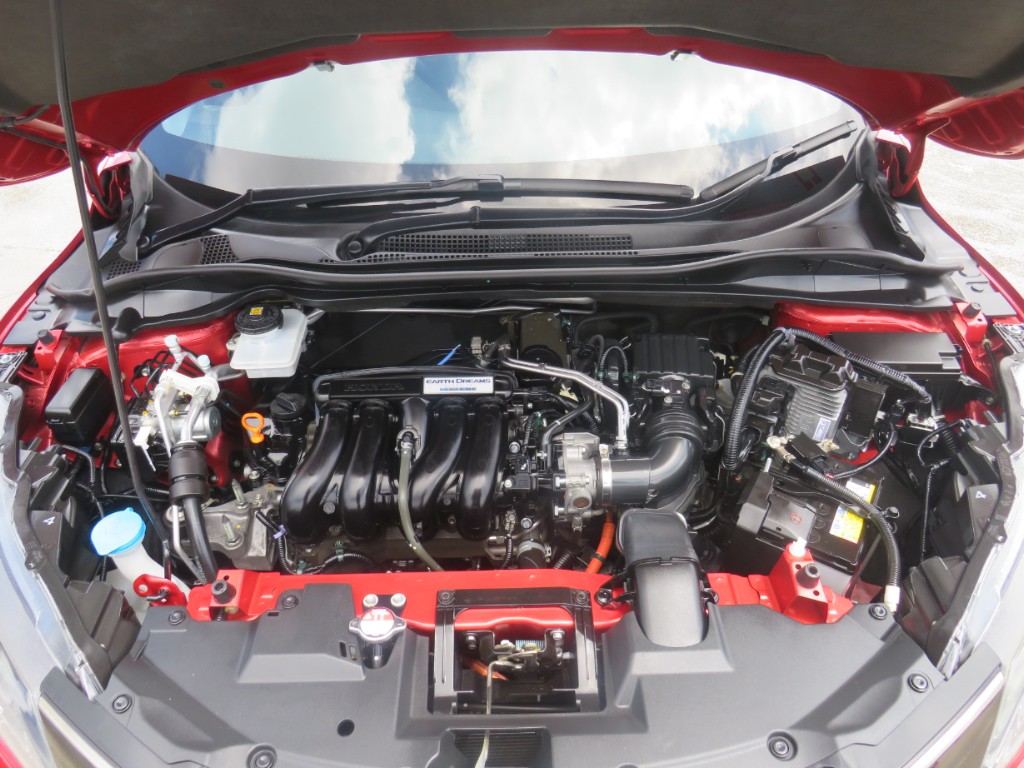 S8016720.jpg