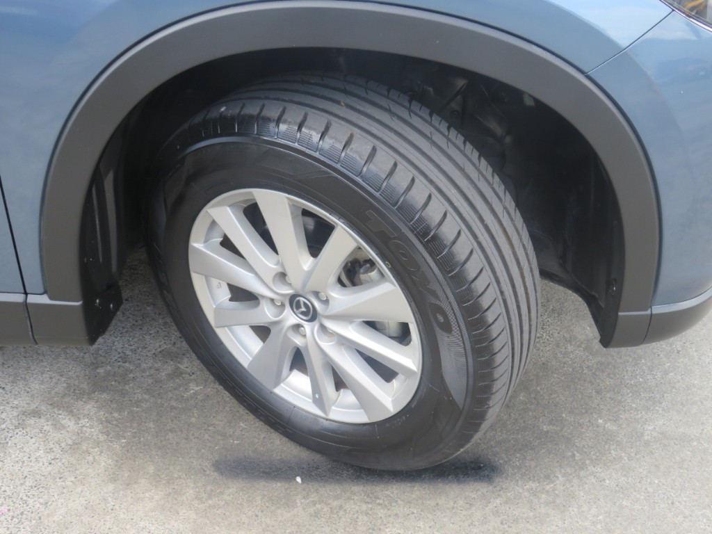 S8017310.jpg