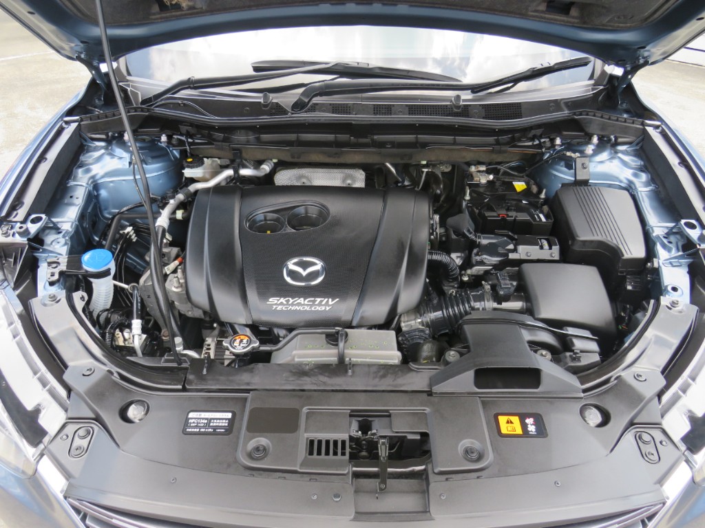S8017321.jpg