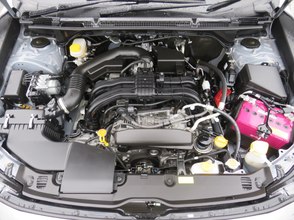 S8018320.jpg