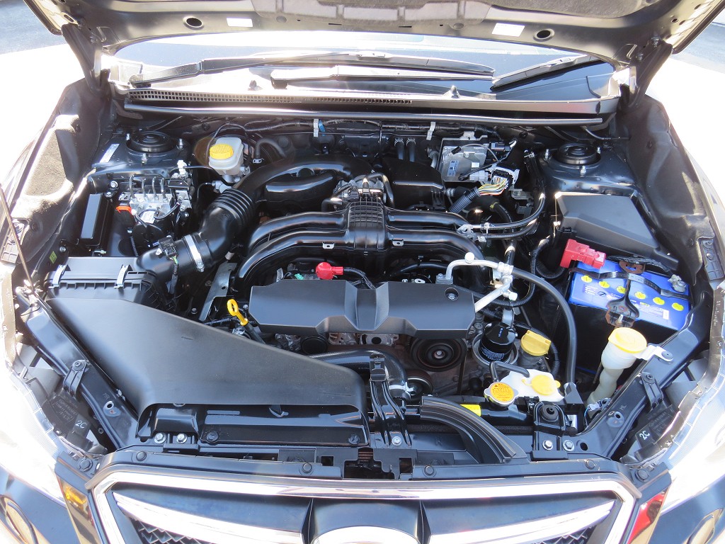 S8018420.jpg