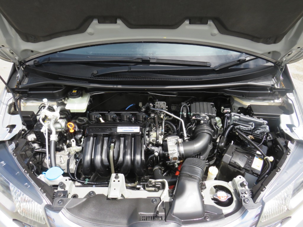 S8020919.jpg