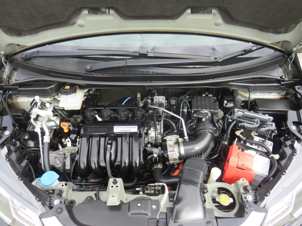 S8021017.jpg