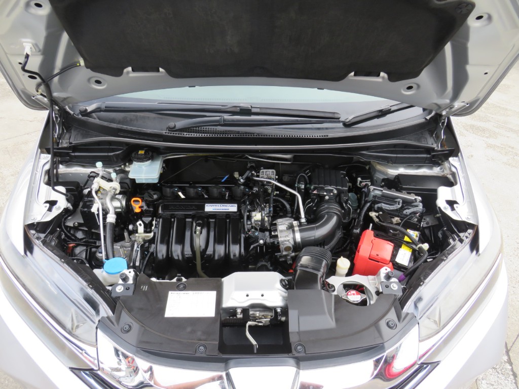 S8021220.jpg