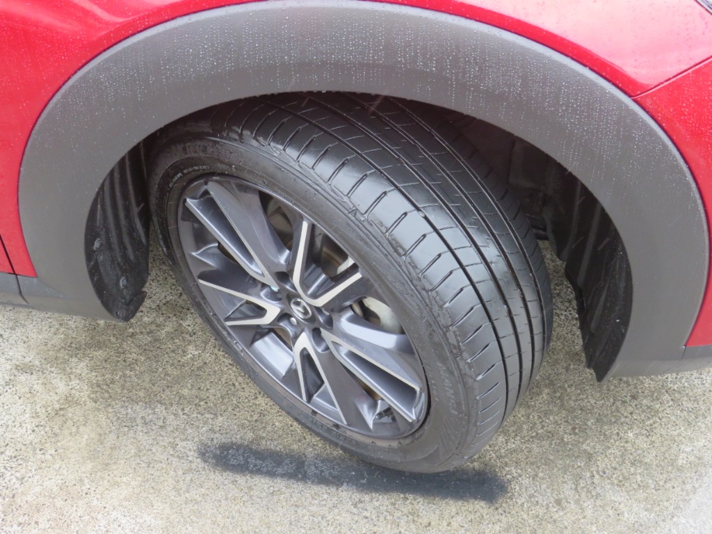 S8021910.jpg