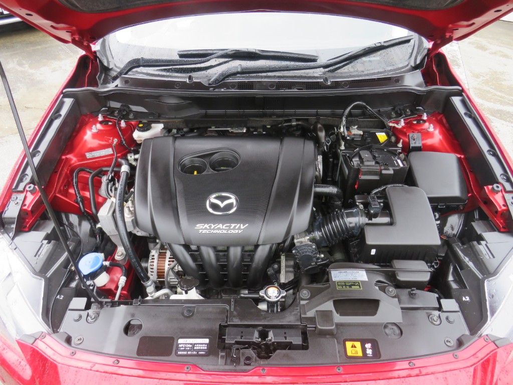 S8021920.jpg