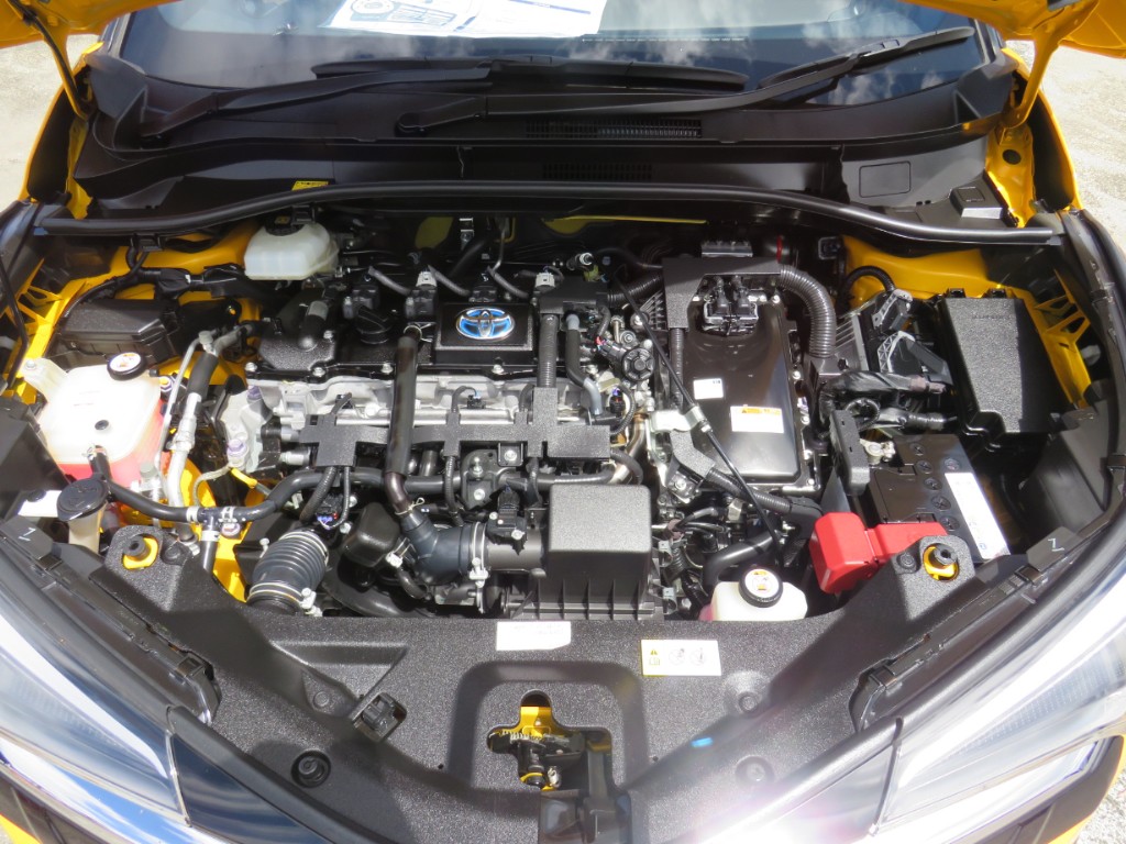S8024719.jpg