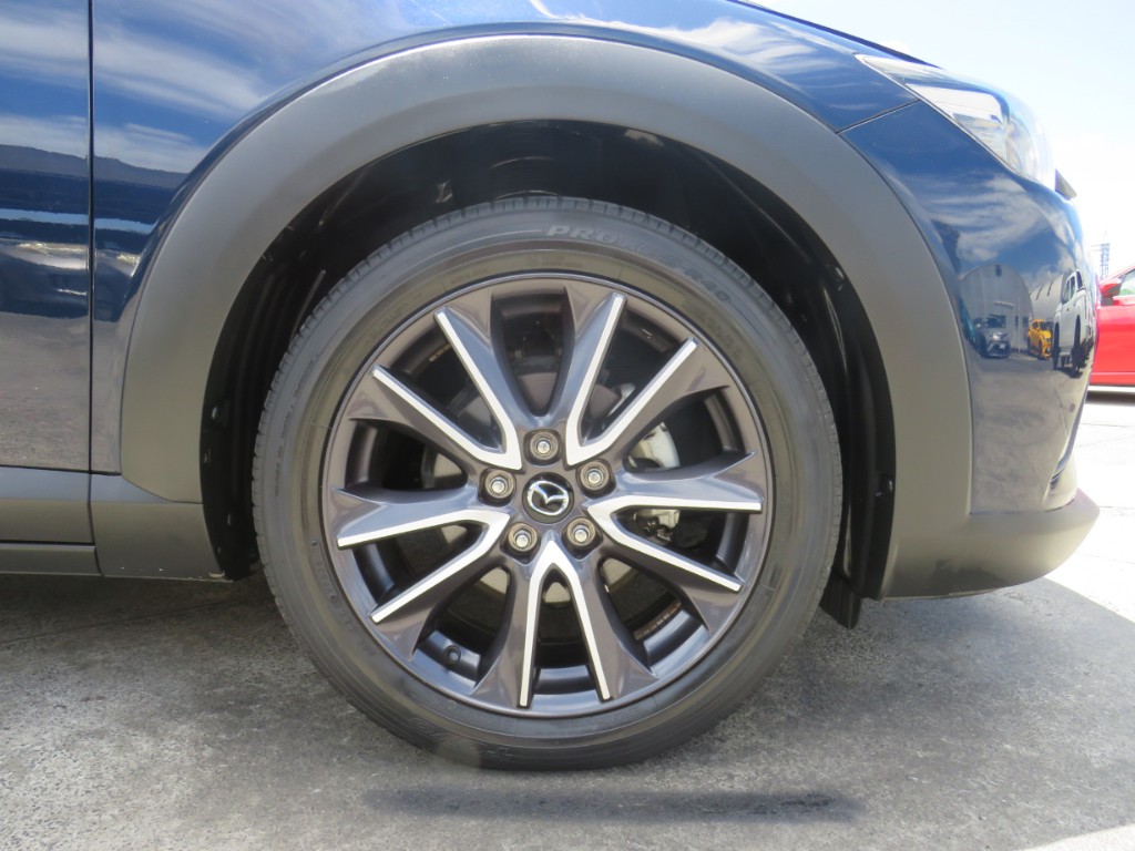 S8026819.jpg