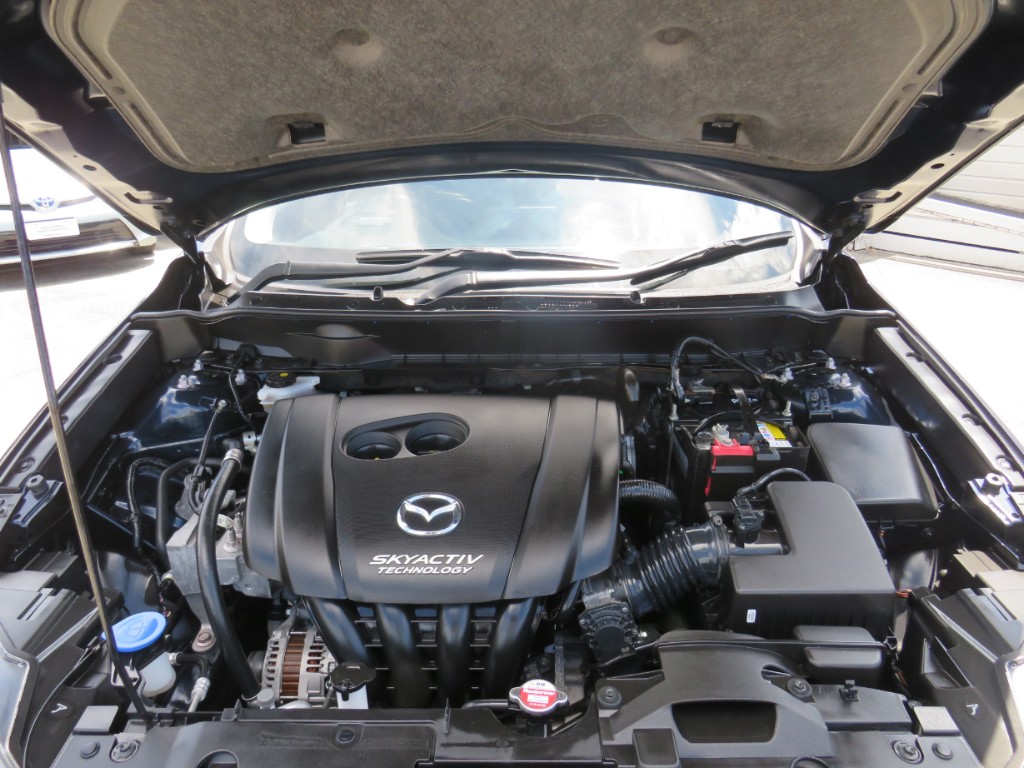 S8026820.jpg