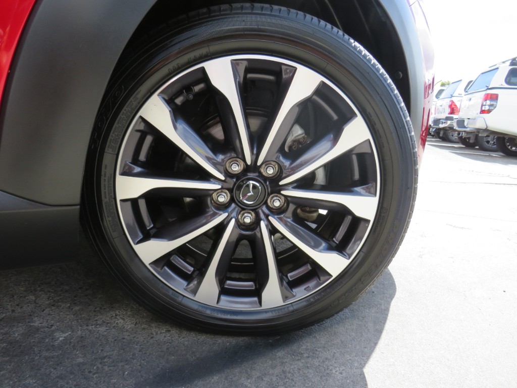 S8026910.jpg
