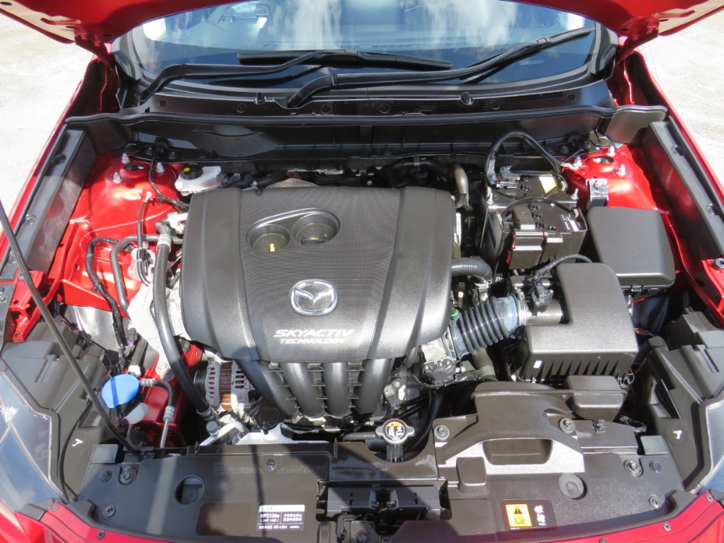 S8026920.jpg