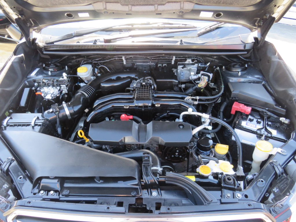 S8028021.jpg