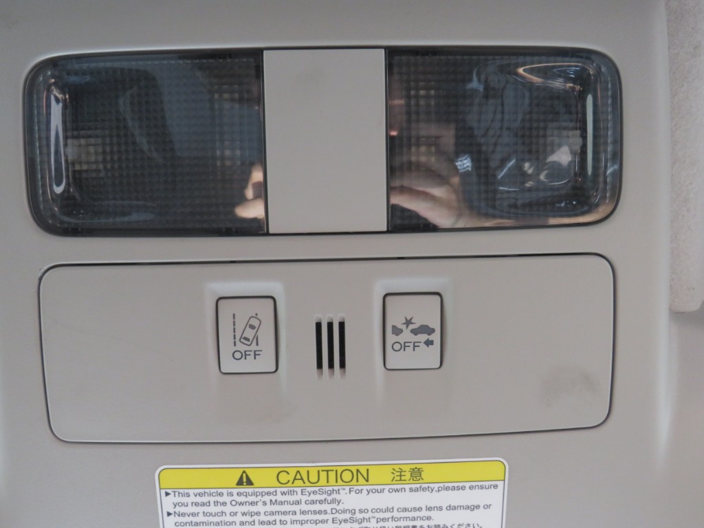 S8028219.jpg