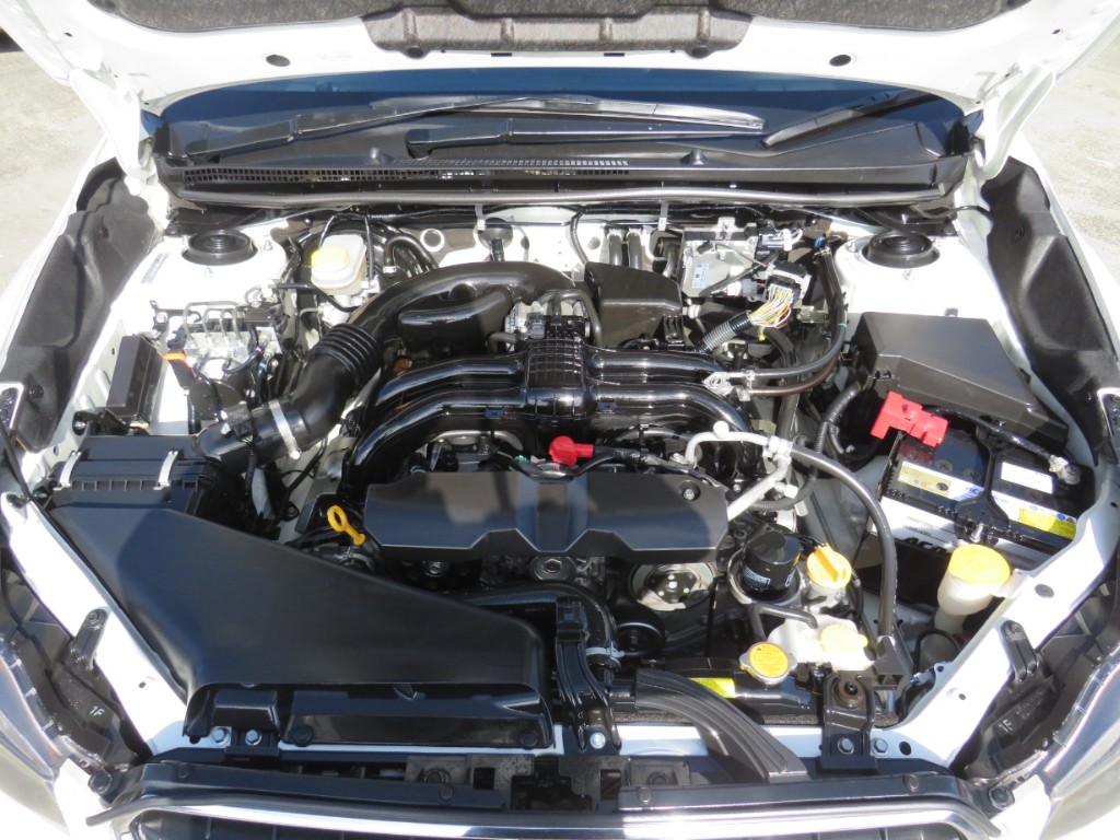 S8028220.jpg