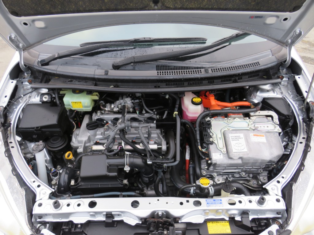S8029019.jpg