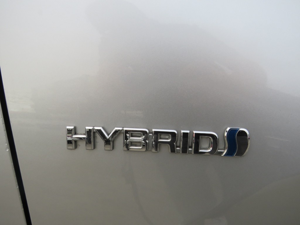 S8029020.jpg