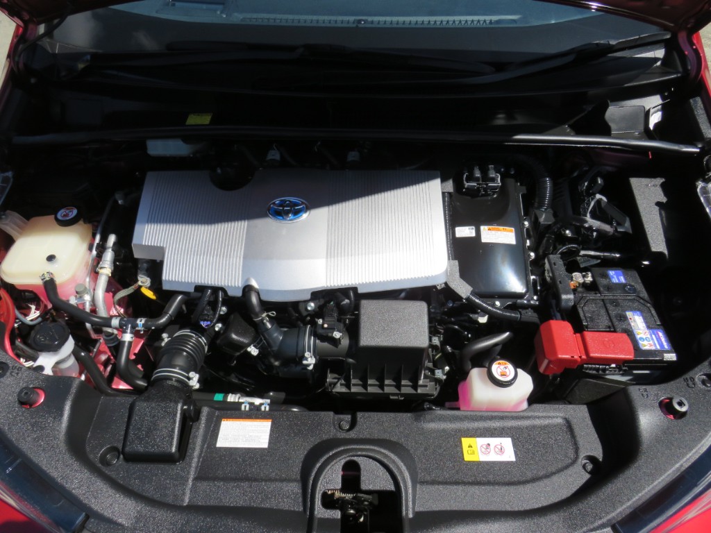 S8029220.jpg