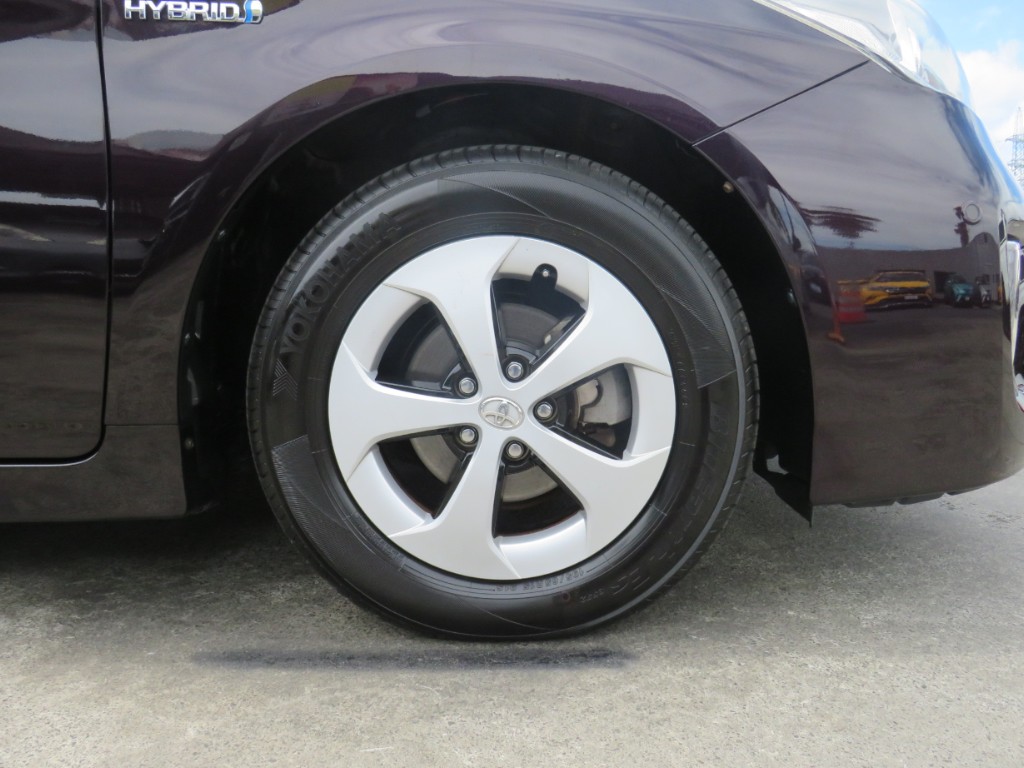 S8029618.jpg