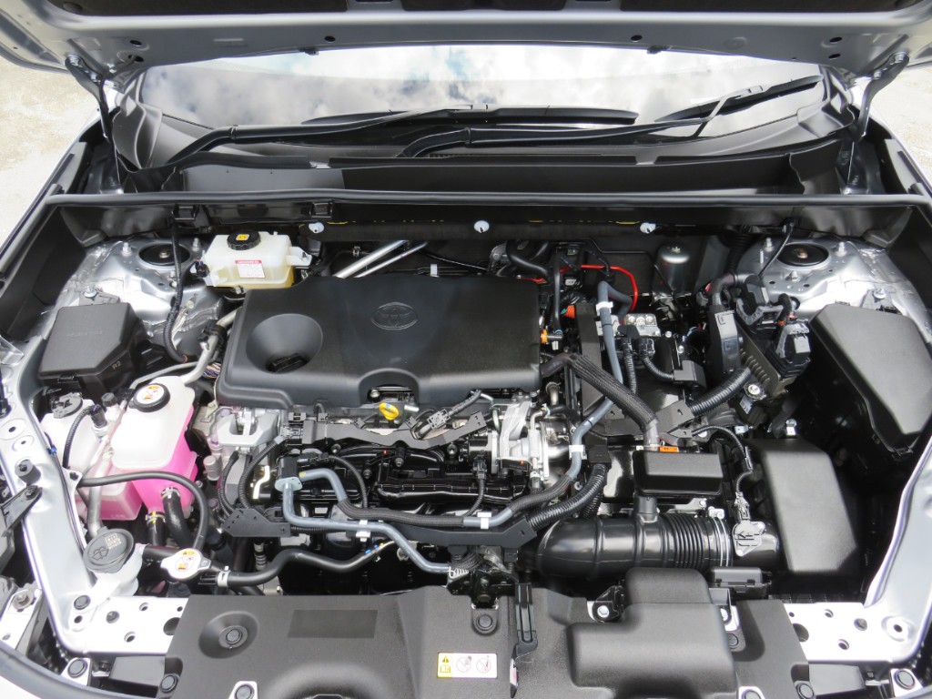 S8030219.jpg