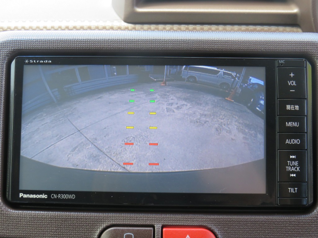 S8030313.jpg