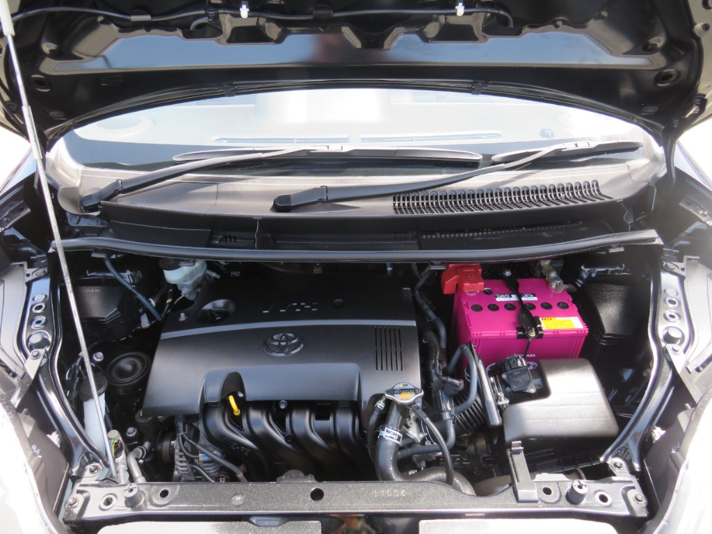 S8030316.jpg