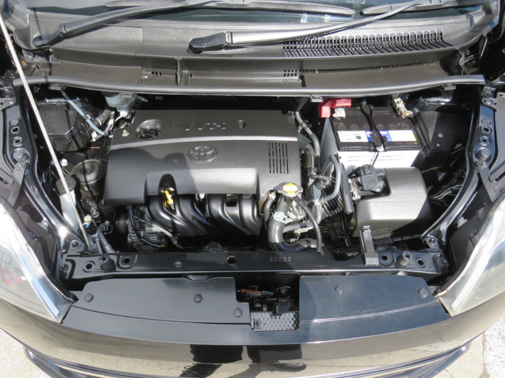 S8030618.jpg